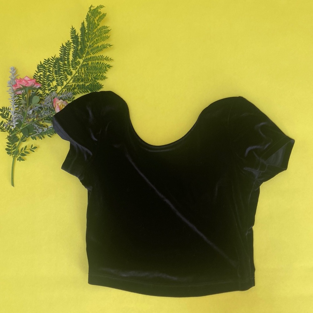 Brandy Melville black velvety crop top